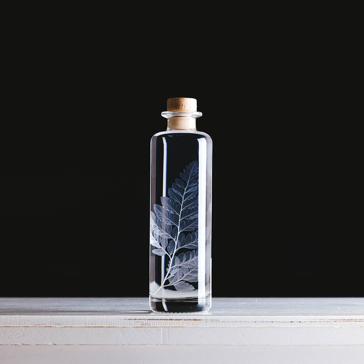 Theophile Berthon - Venta al por mayor Plantas naturales - Cuero blanco de helecho de herbario - planta sumergida2