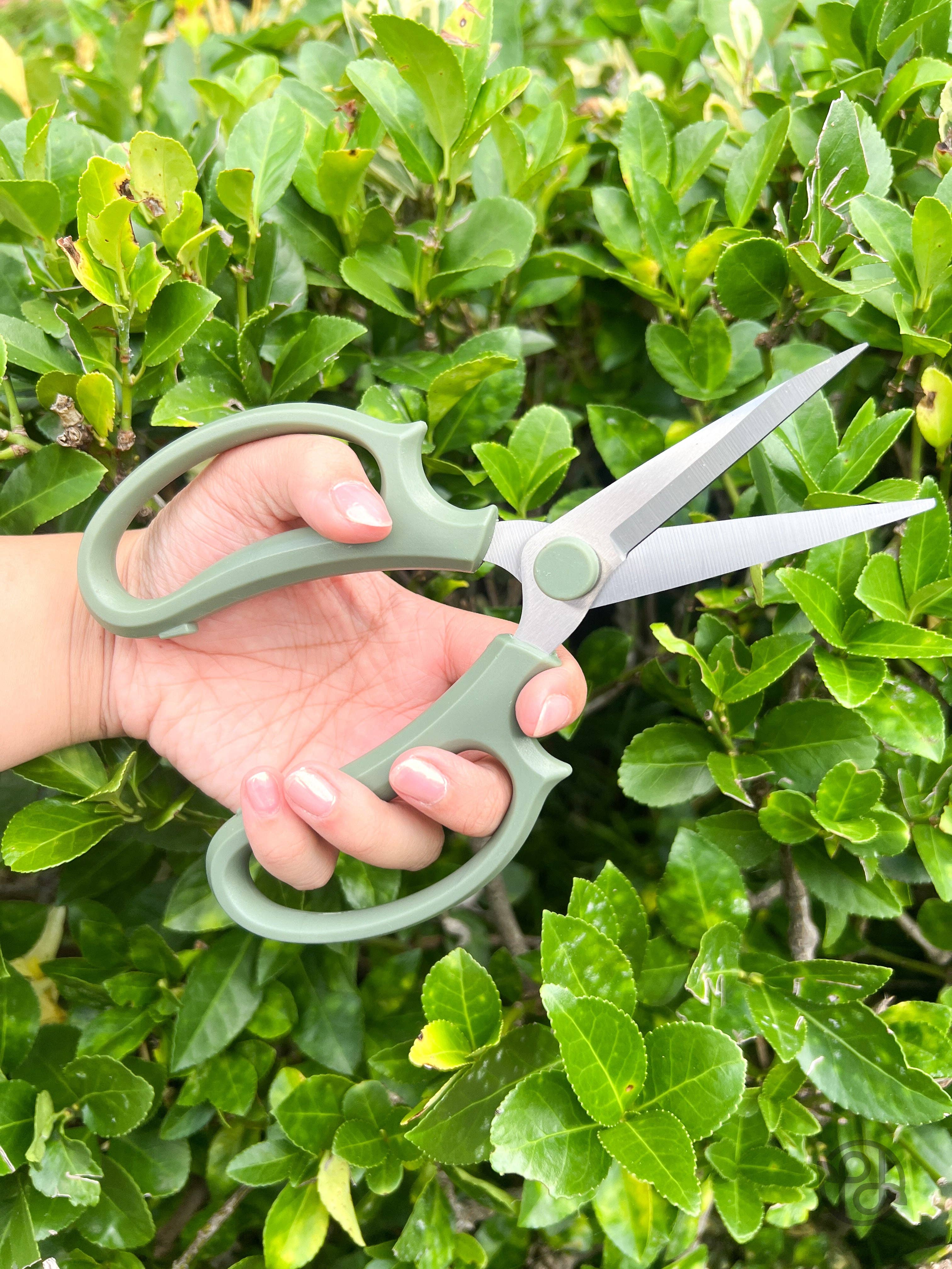 Propagation Diaries - Vente Outil de jardinage - Sécateurs6