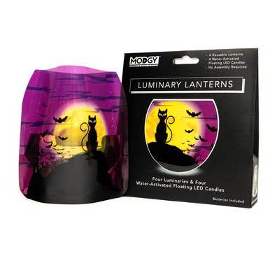 Luminary Lantern - Salem - Halloween Black Cat for wholesale by Modgy