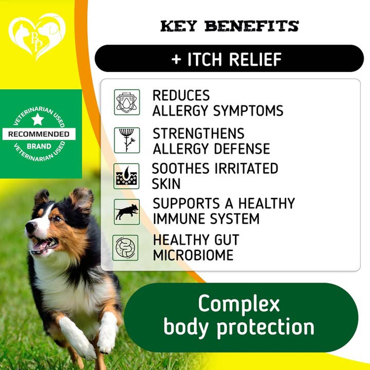 Beloved Pets - Wholesale Pet Supplement - Dog - Dog Anti Itch & Allergy Relief Chews - Dry Itchy Skin & Hot Spot Treatment with Probiotic, Omega 3 Oil- Immune Supplement & Seasonal Allergies Medicine for Dogs, Puppy - 140 Bites Made in USA1