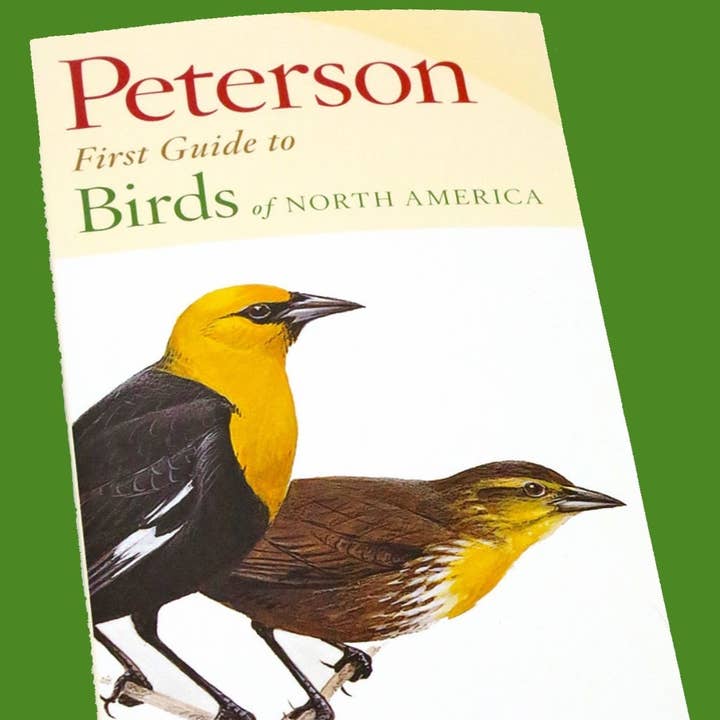 Microcosm Publishing & Distribution - Wholesale Nature Guide - Peterson First Guide to Birds of North America
