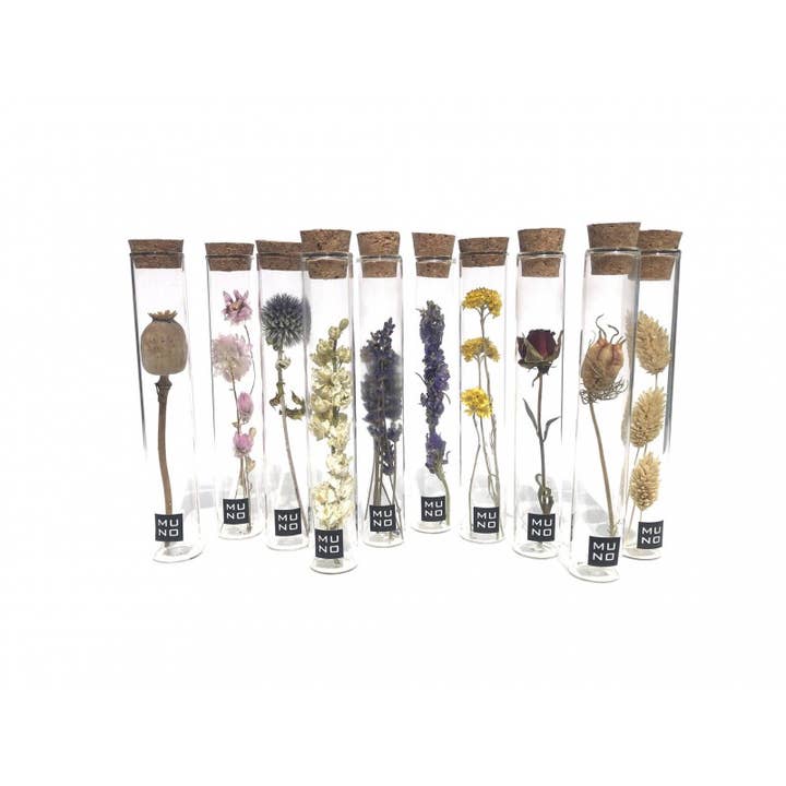 Muno - Wholesale Dried/Pressed Flowers - TUBE 15 CM WITH DRIED FLOWER - Gift