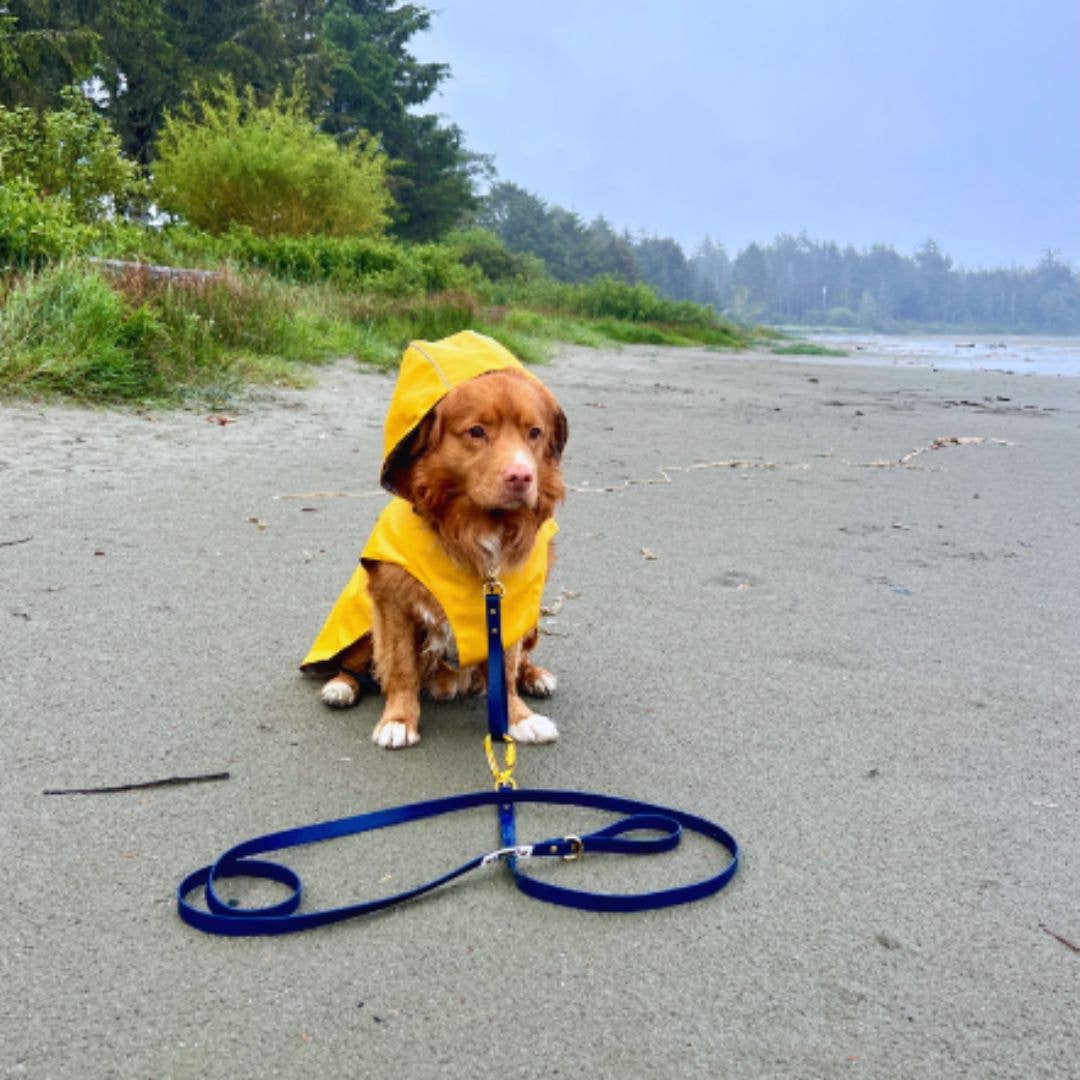 Rocky Mountain Dog - Wholesale Hondenjack - Hond - Tofino regenjas voor honden5