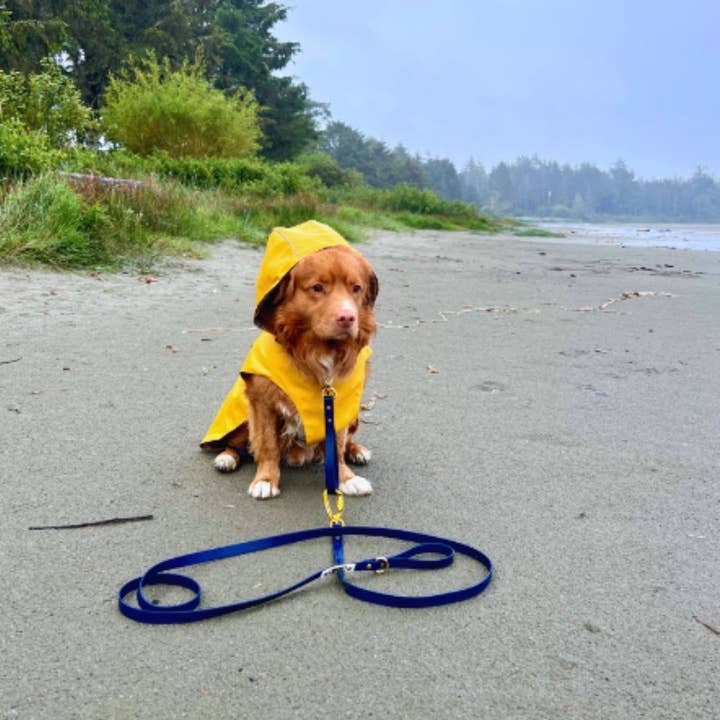 Rocky Mountain Dog - Wholesale Pet Jacket - Dog - Tofino Rain Jacket 5