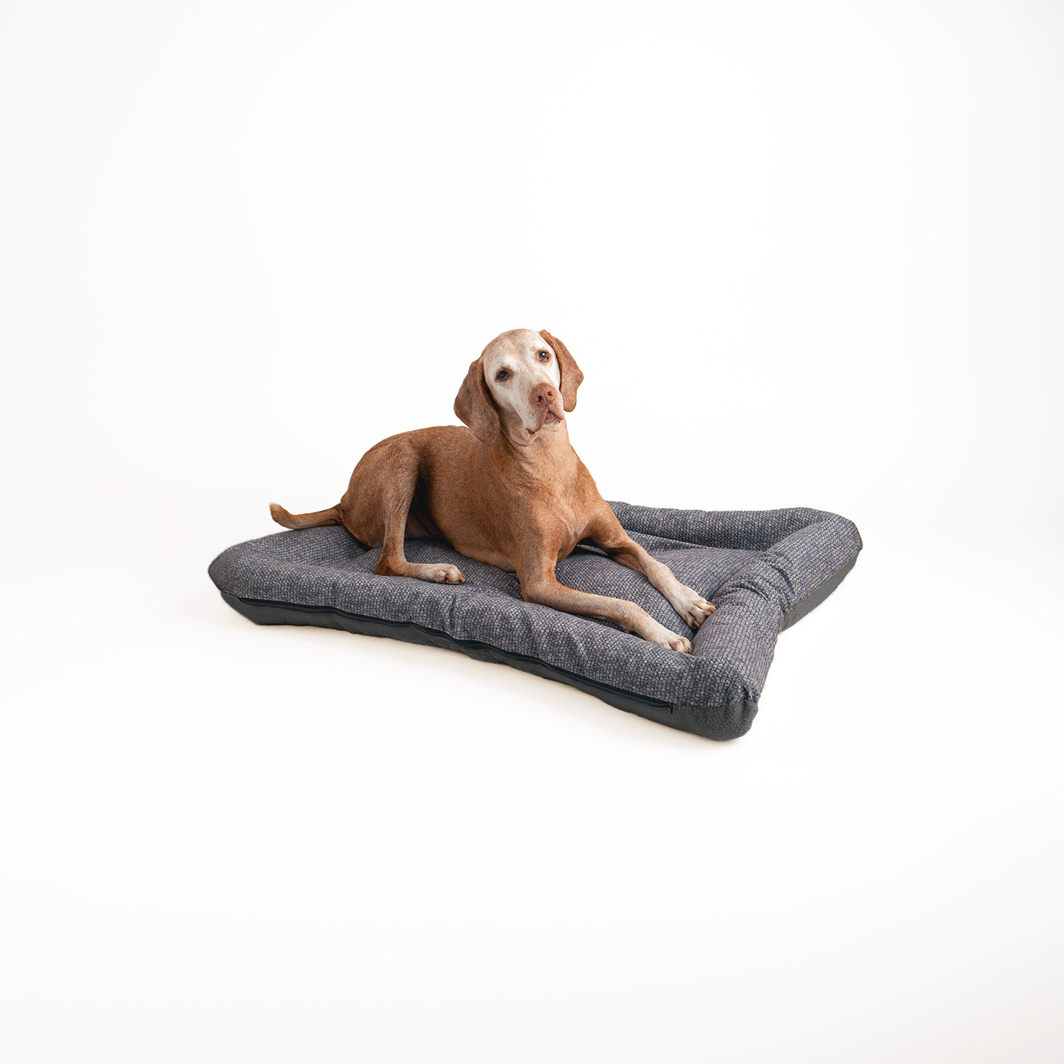 Snoozer Pet Products - Vendita all'ingrosso Letto - Cani - Cuccia per Cani All Day di Snoozer27