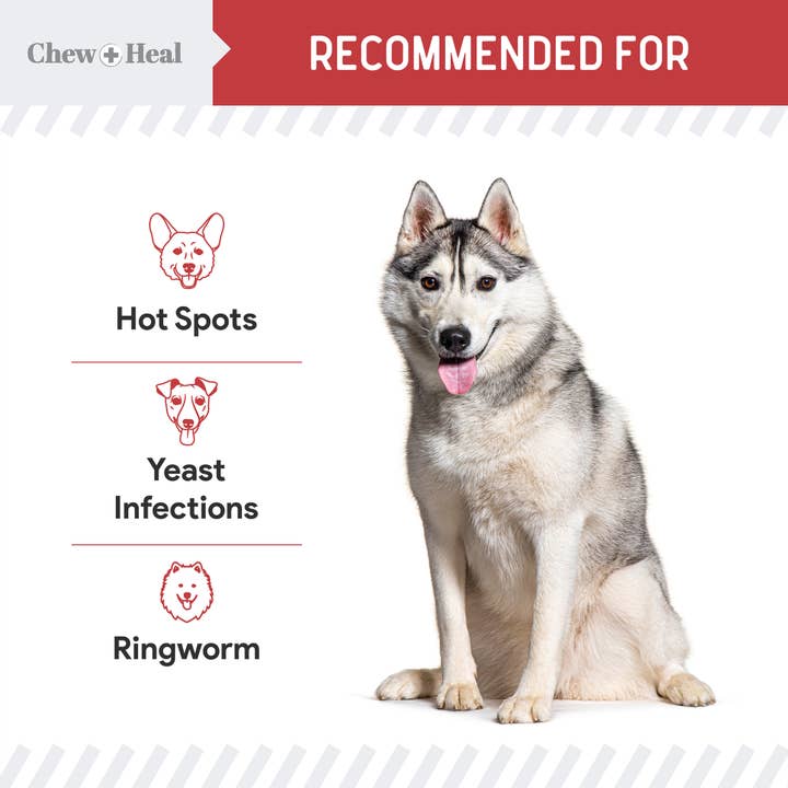 Chew + Heal - Wholesale Pet Grooming Aid - Dog - Antibacterial & Antifungal Medicated Wet Wipes for Dogs4
