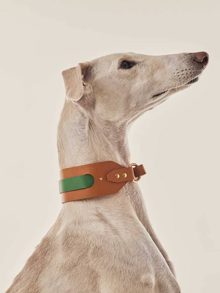 Abnehmbares Hundehalsband mit grünem Zugband für den Großhandel von INDÓMITO