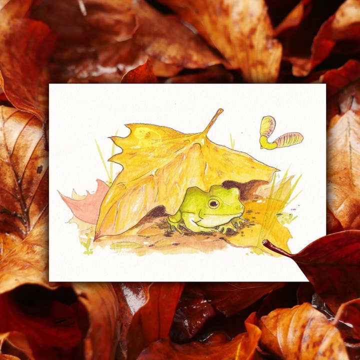 Nascosto - Stampa d'Arte Acquerello Rana 5x7" per la vendita all'ingrosso da parte di Frog Tree