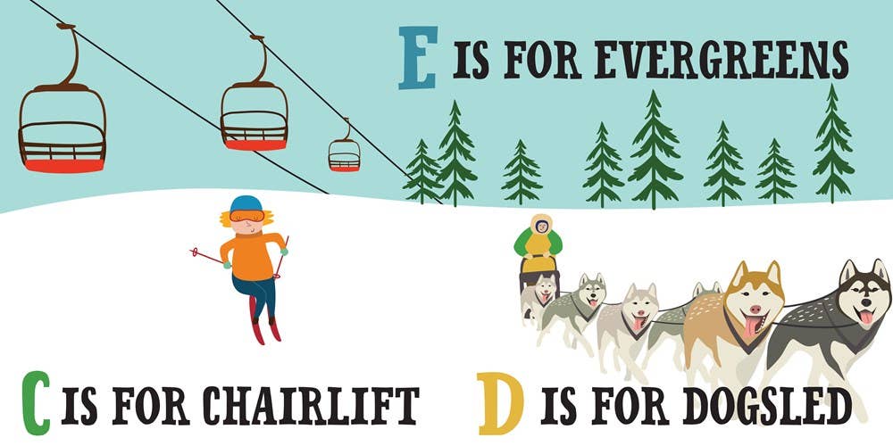 Familius, LLC - Wholesale Early Reader Book (6-8) - S is for Snow1