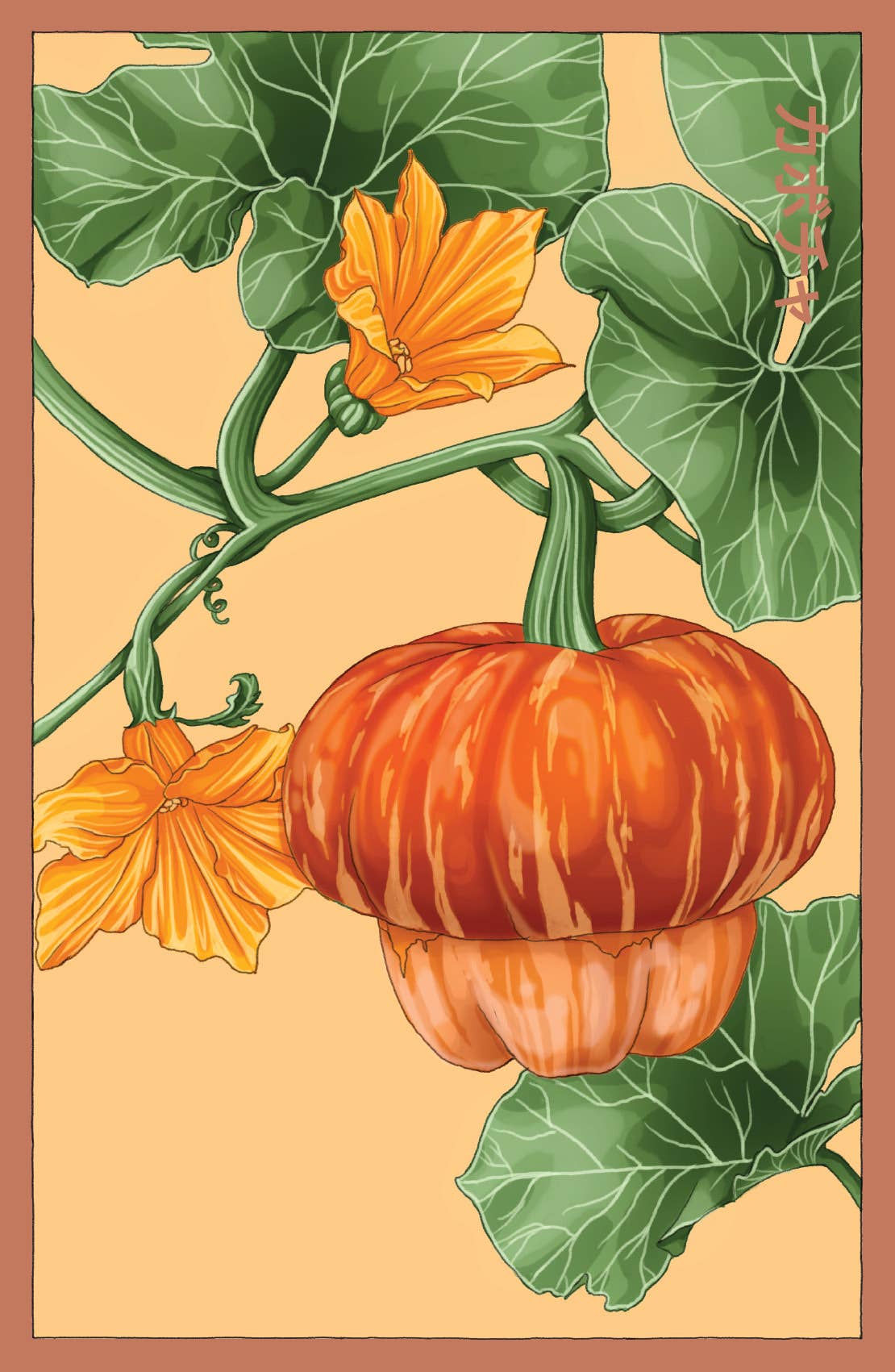 Chive UK – wholesale Plant seeds – Funky Seeds Packets - 48 Assorted2