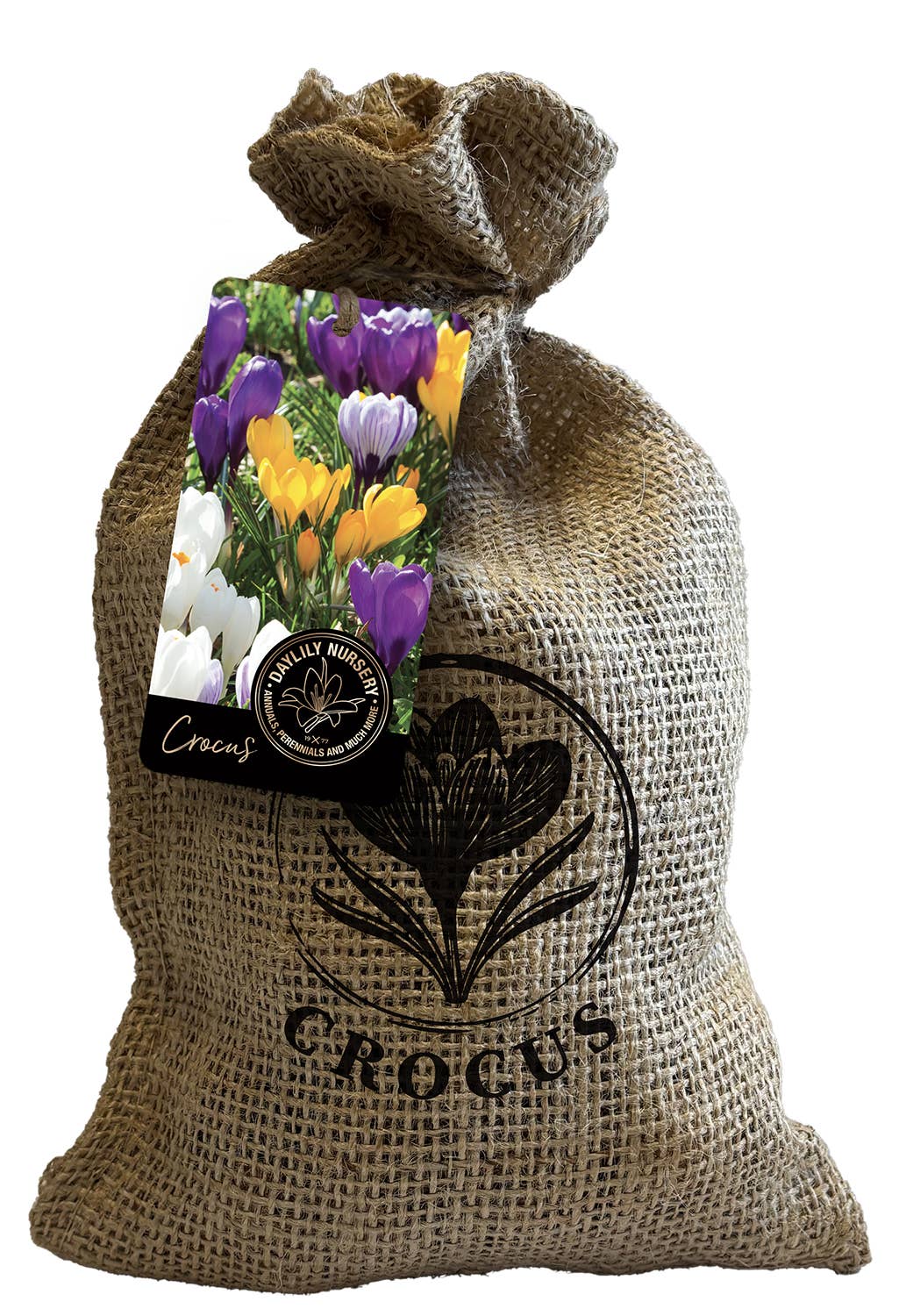 Let 'Em Bloom - Wholesale Plant Seeds - 60 Jumbo Crocus Mixture Bulbs in Custom Burlap Bag