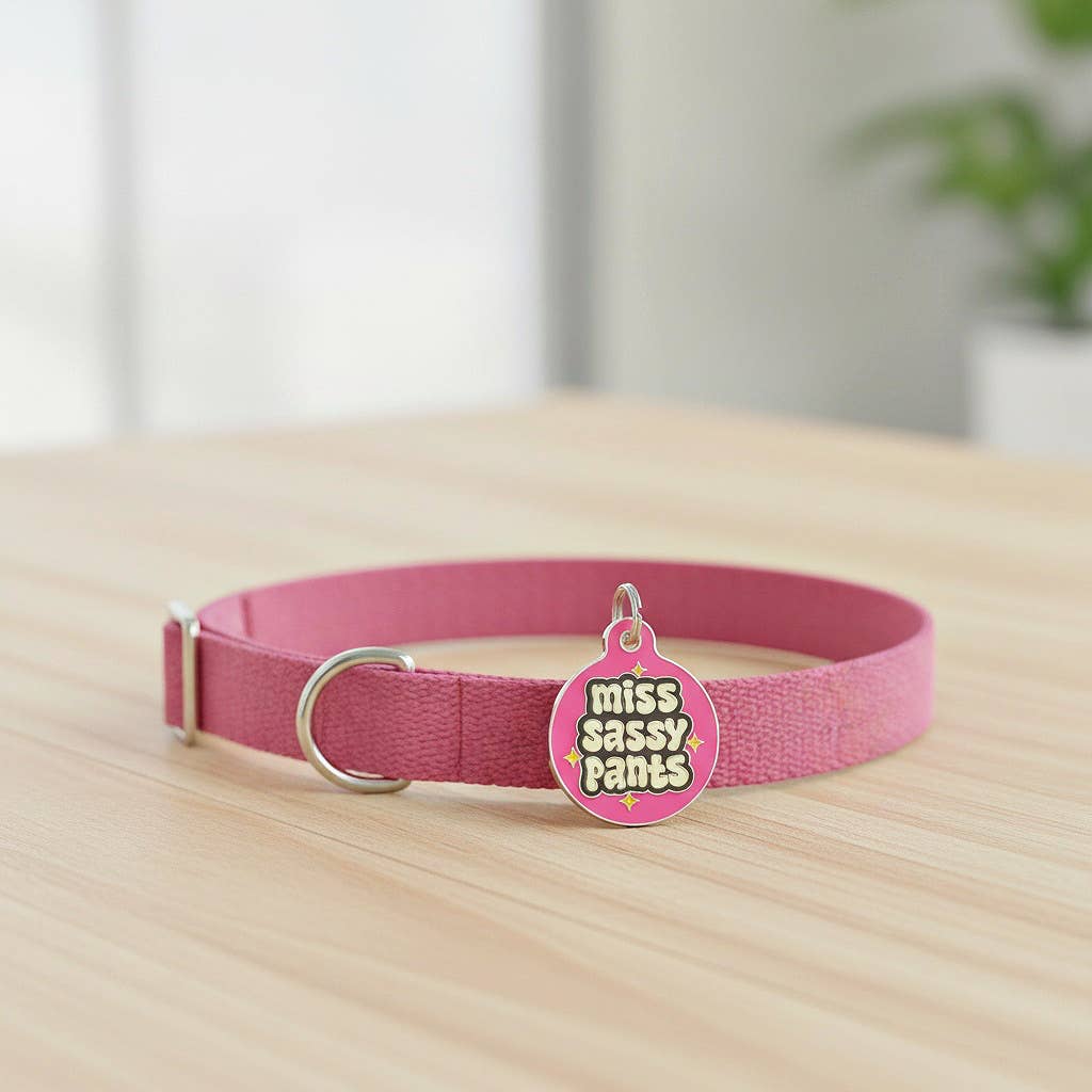 Bad Tags - Wholesale Pet Identification Tag - Dog - Dog ID Tag with Personalized QR Code - Miss Sassy Pants6