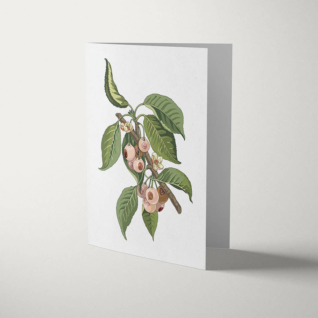 Useless Treasures - Wholesale Everyday Greeting Card - Hanging | A6 Greeting Card