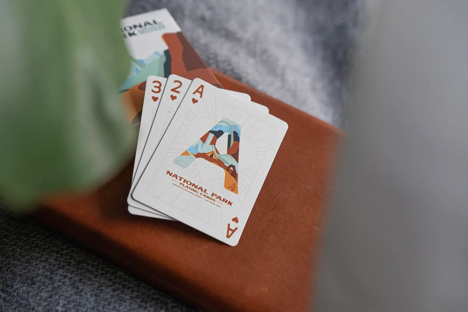 Flatlander Trading - Wholesale Card Game - National Park Playing Cards1