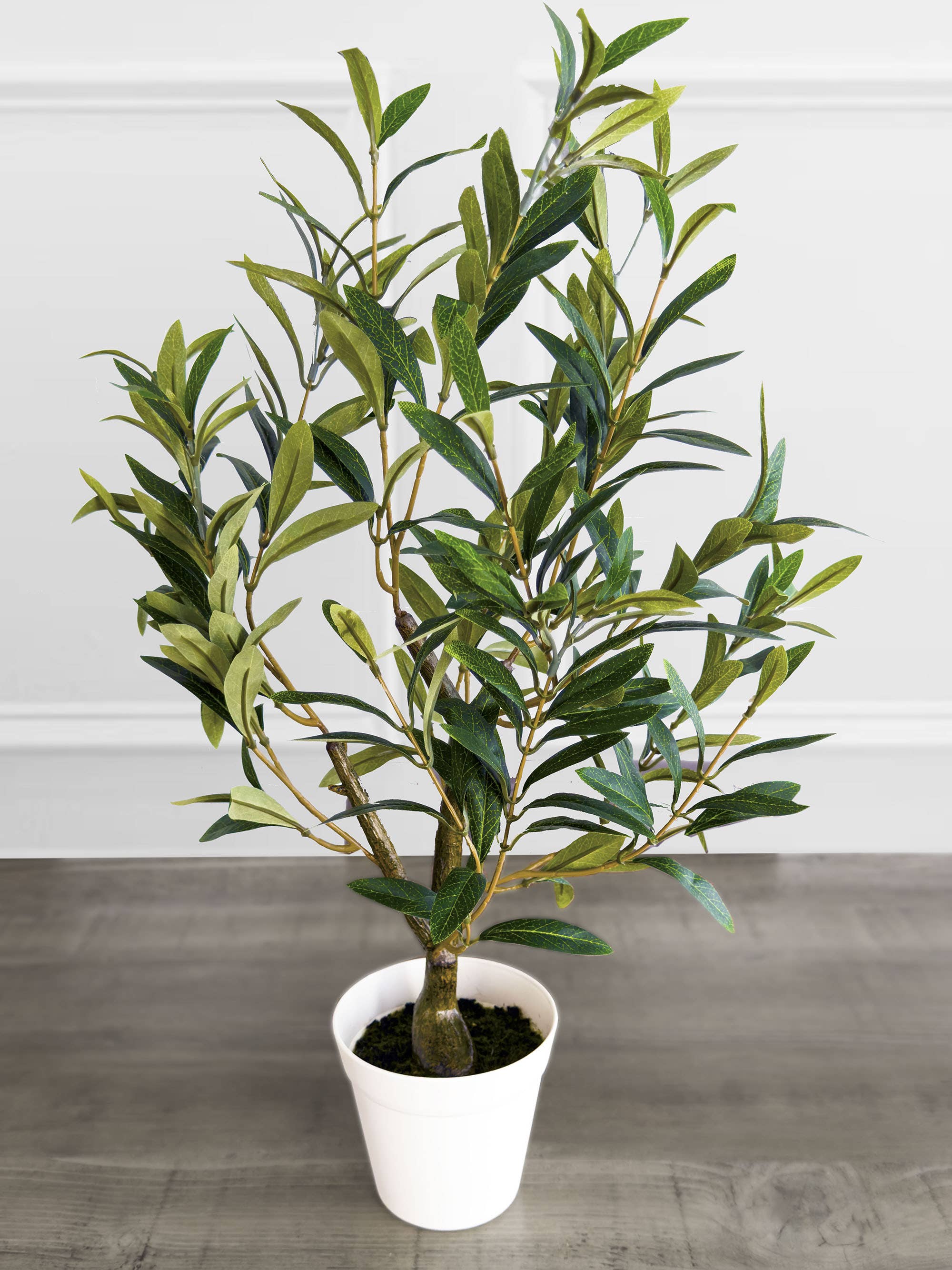Algreen - Wholesale Artificial Plant - 26" Faux Olive Tree – 5" Pot4