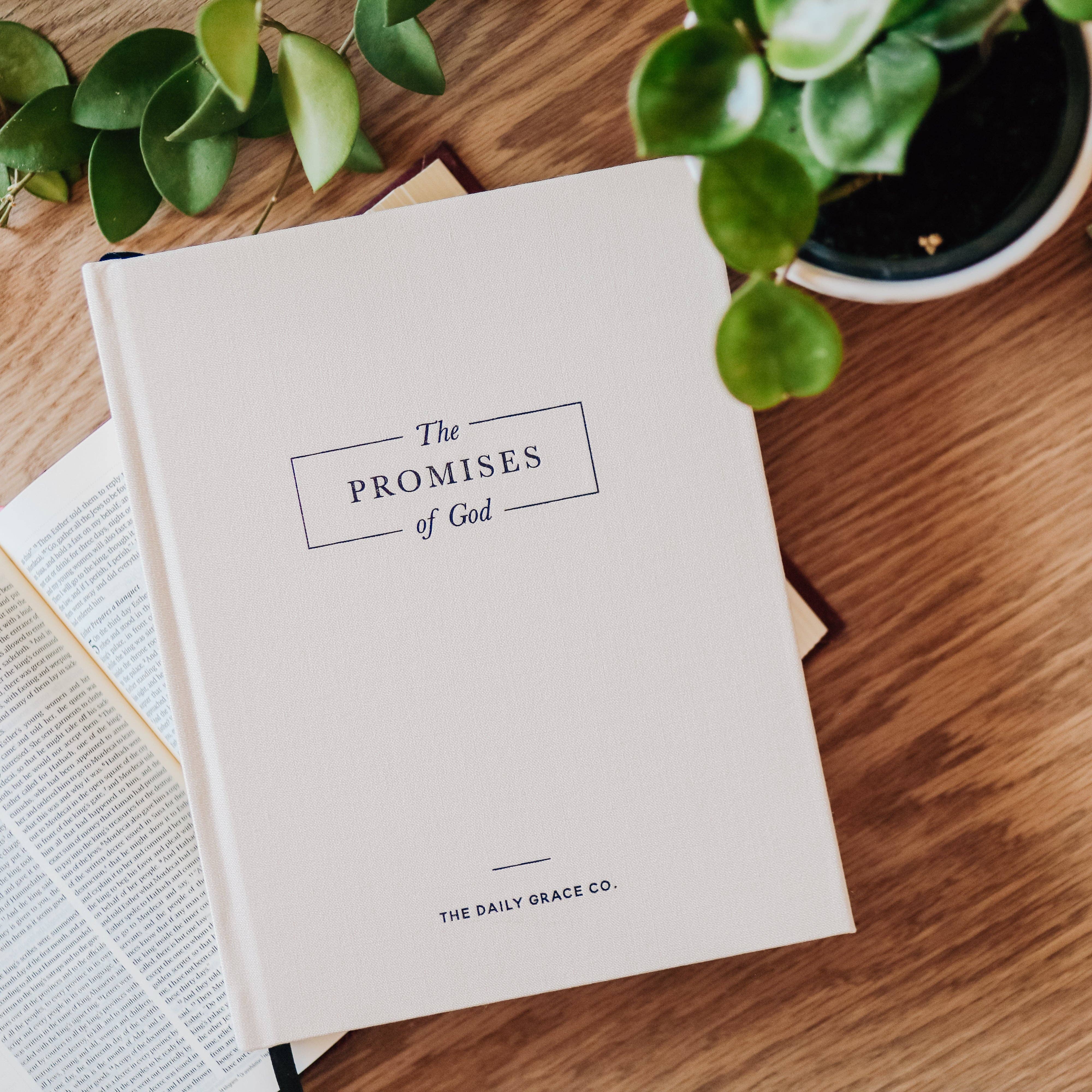 The Daily Grace Co - Wholesale Religion - The Promises of God | Coffee Table Book6