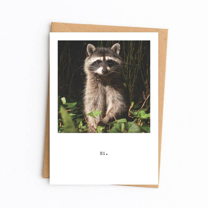 Wildlife & Nature themed card. All occasion Raccoon card for wholesale by Elster Photography/Big Picture Greetings