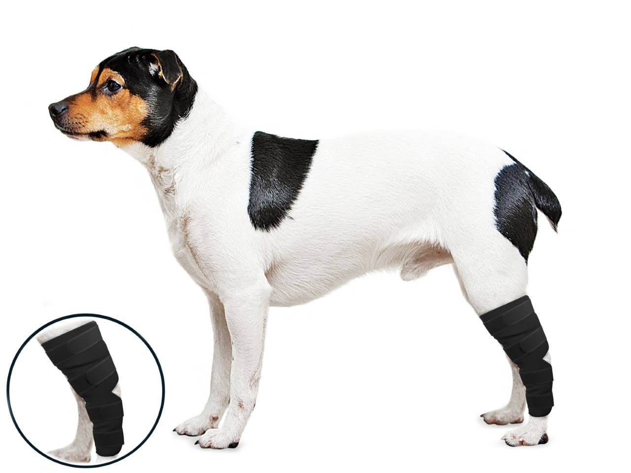 ZENPET - Wholesale Pet Bandana - Dog - OrthoWrap Hock Protector1