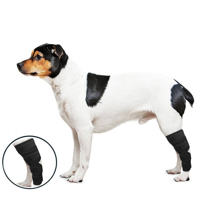 ZENPET - Vendita all'ingrosso Bandana - Cani - Protezione antiurto OrthoWrap1