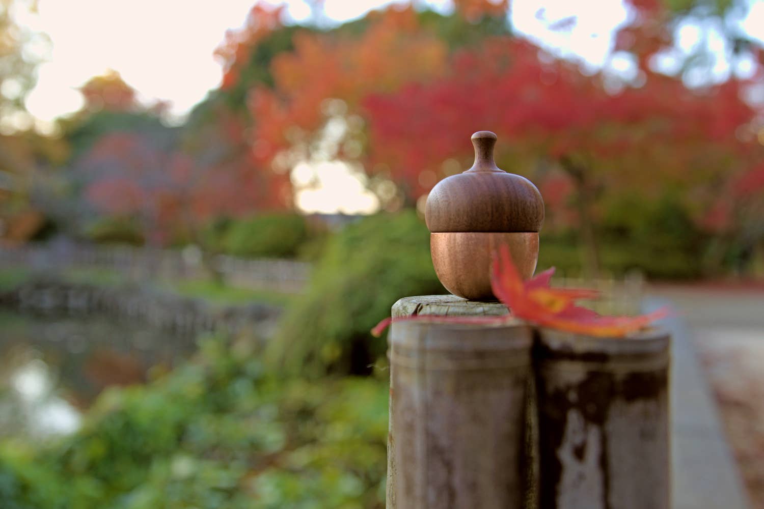 Japacolle — Japan Collections | See Latest News in "About" - Wholesale Bell - KSN Madoka Dongurin41