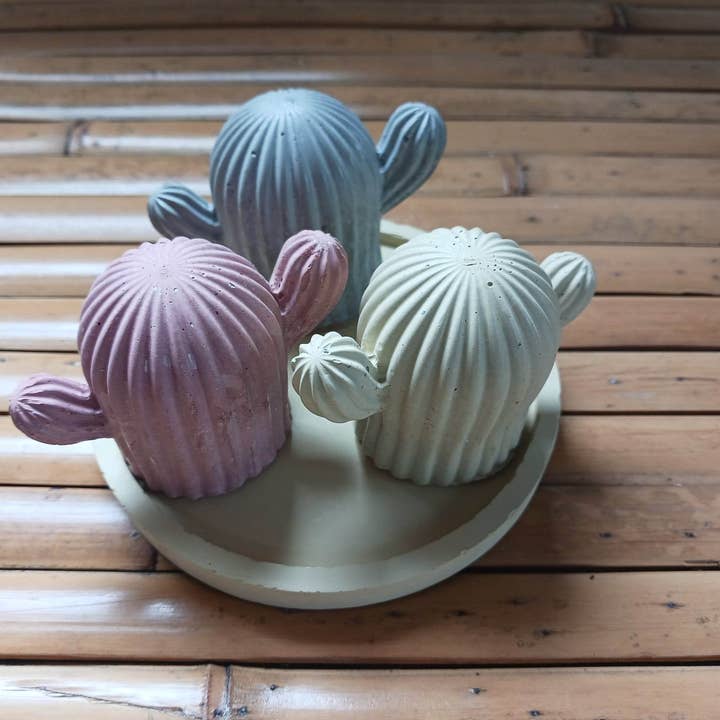 presse-papier, décoration d'intérieur, cactus en ciment, pour la vente par Casa de Iris Crafts