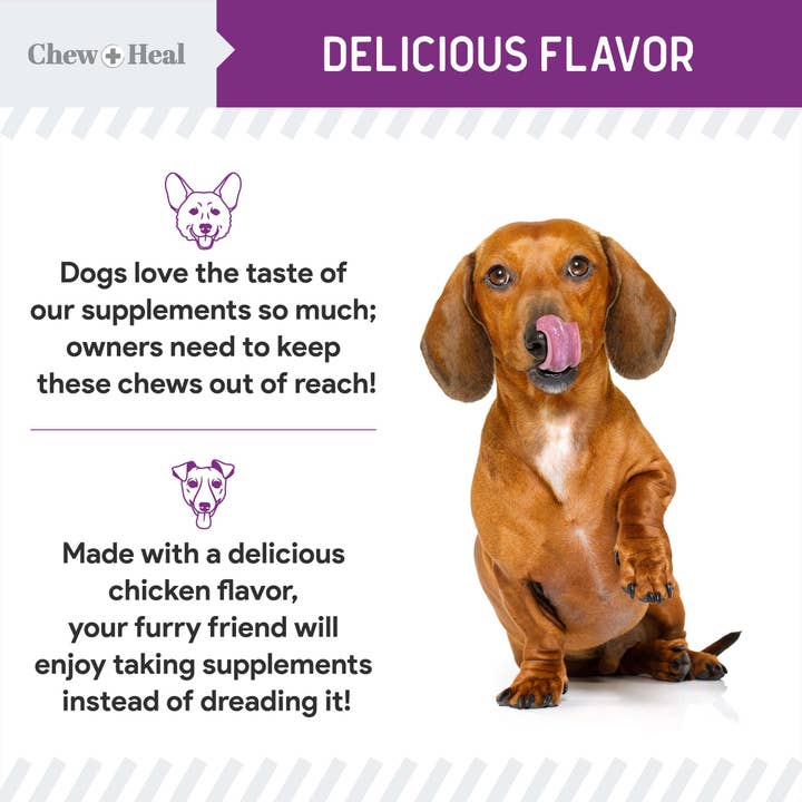 Chew + Heal - Wholesale Pet Supplement - Dog - Chew + Heal Stop the Scoot Anal Gland & Bowel Support6