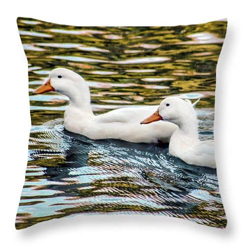 ALMOHADA «LOS GANSOS ARTÍSTICOS PARA PASEAR» para venta al por mayor de sorayadapuzzostore