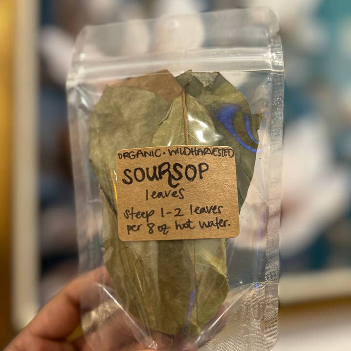 Embodied Divinity Botanica - Wholesale Loose Tea - Organic Dried Soursop Leaves1