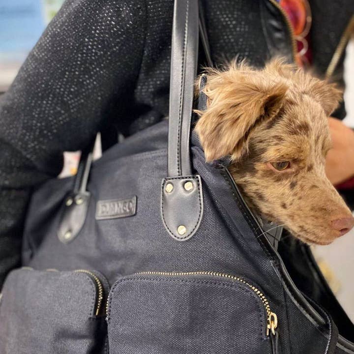 DJANGO - Wholesale Pet Carrier - Dog - Dog Carrier Bag - Black Waxed Canvas and Leather10