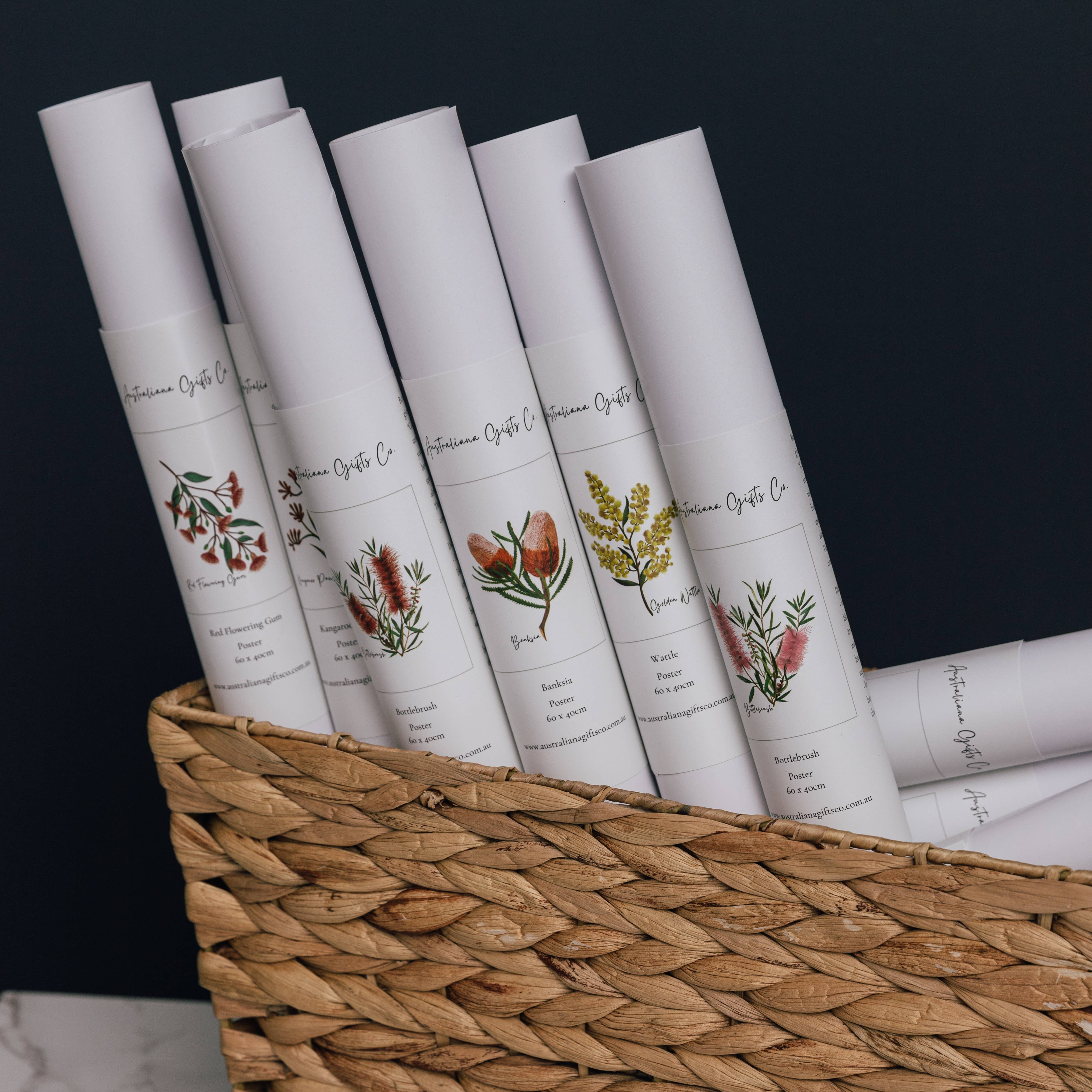 Australiana Gifts Co - Wholesale Poster - AGCP1000: Grevillea Flower Poster7