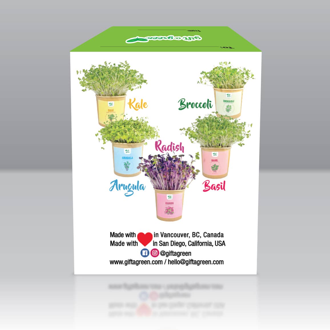 giftagreen - Wholesale Plant Seeds - Gift Box - All Occasion6
