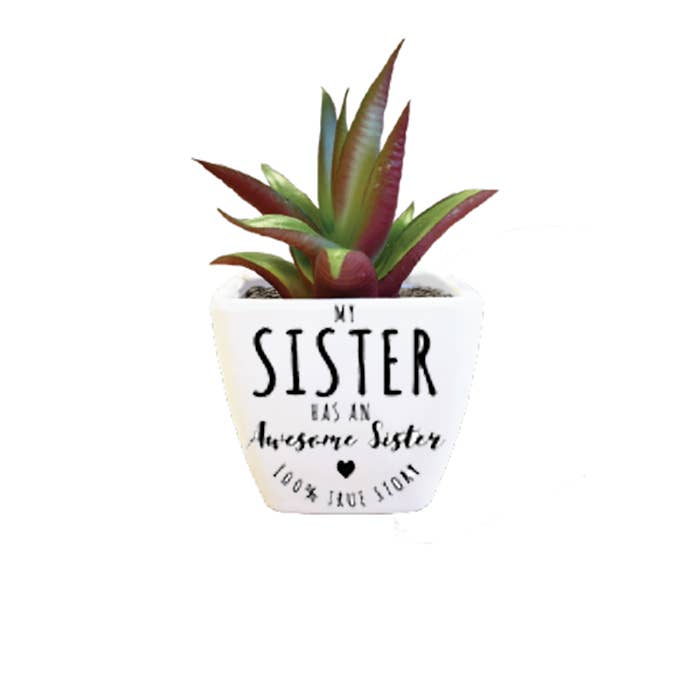 Sentiment Succulent - Sisters for wholesale by The H&H Group