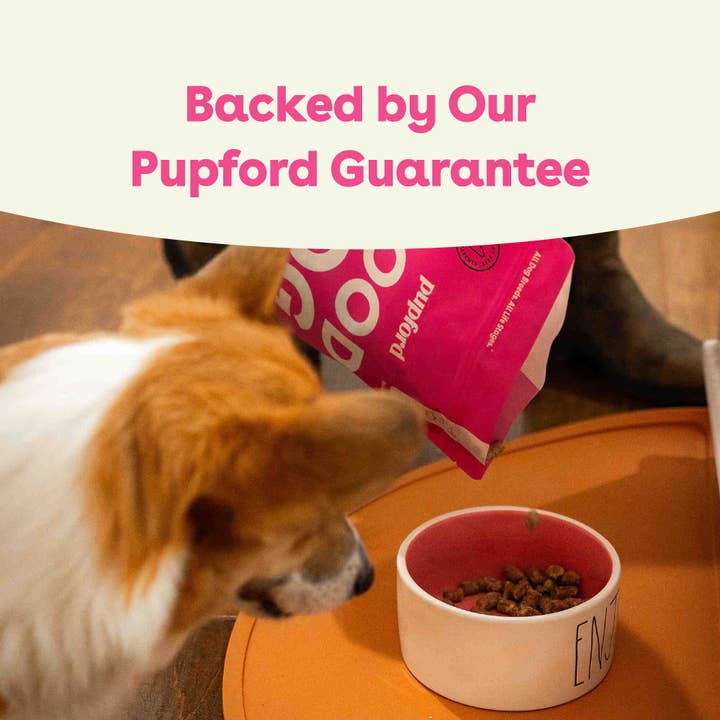 Pupford - Wholesale Pet food – Dog - Freeze-Dried Raw Dog Food - Salmon & Lamb Recipe11