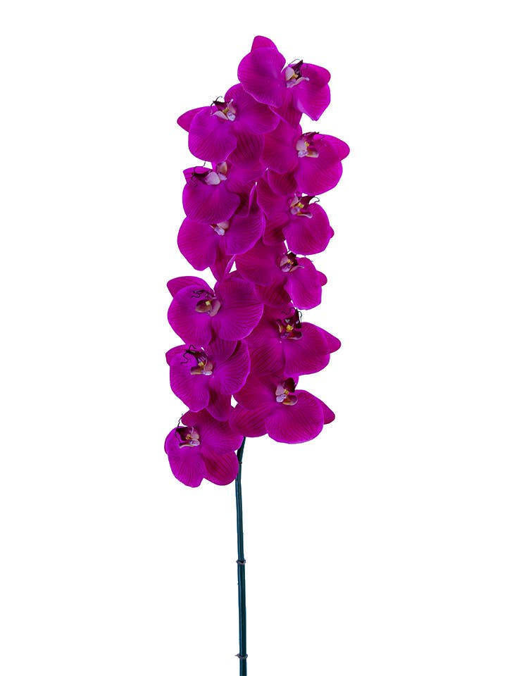 American Best - Wholesale Artificial Flowers - 42" REAL TOUCH PHALAENOPSIS