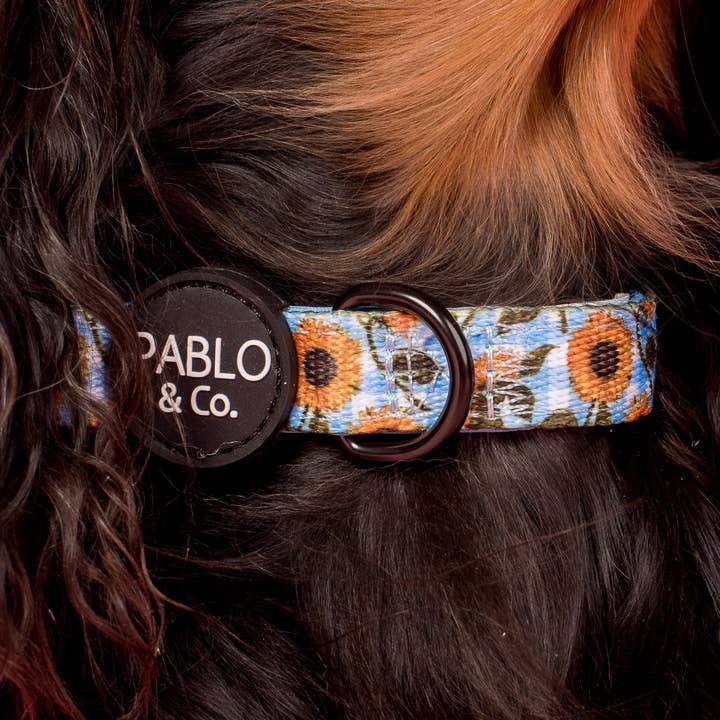 Soliga Solrosor: Halsband för wholesale av Pablo & Co. Boutique