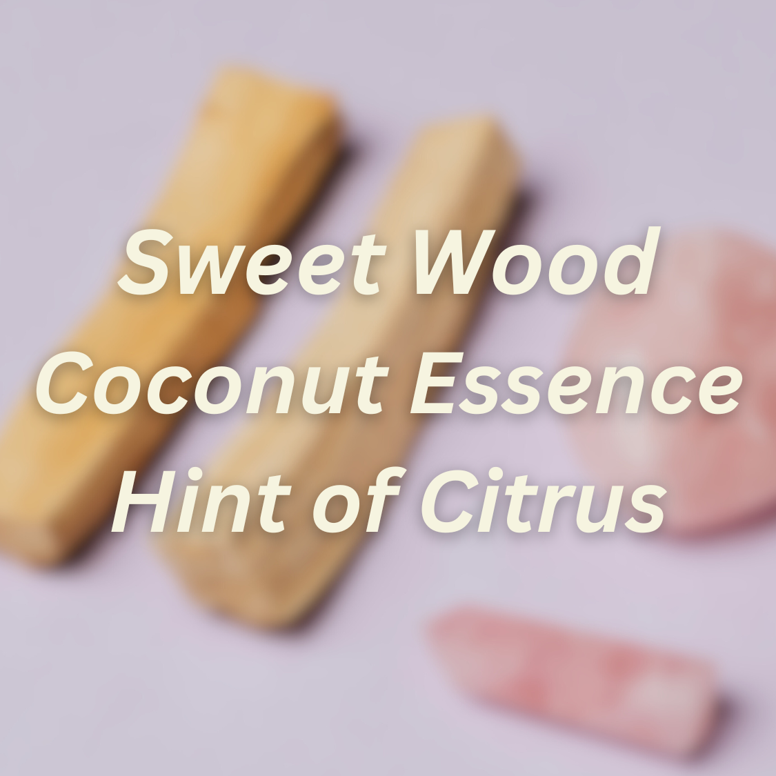 Beau Laundry Co. - Wholesale Laundry Detergent Powder/Pods - Palo Santo Laundry Soap1