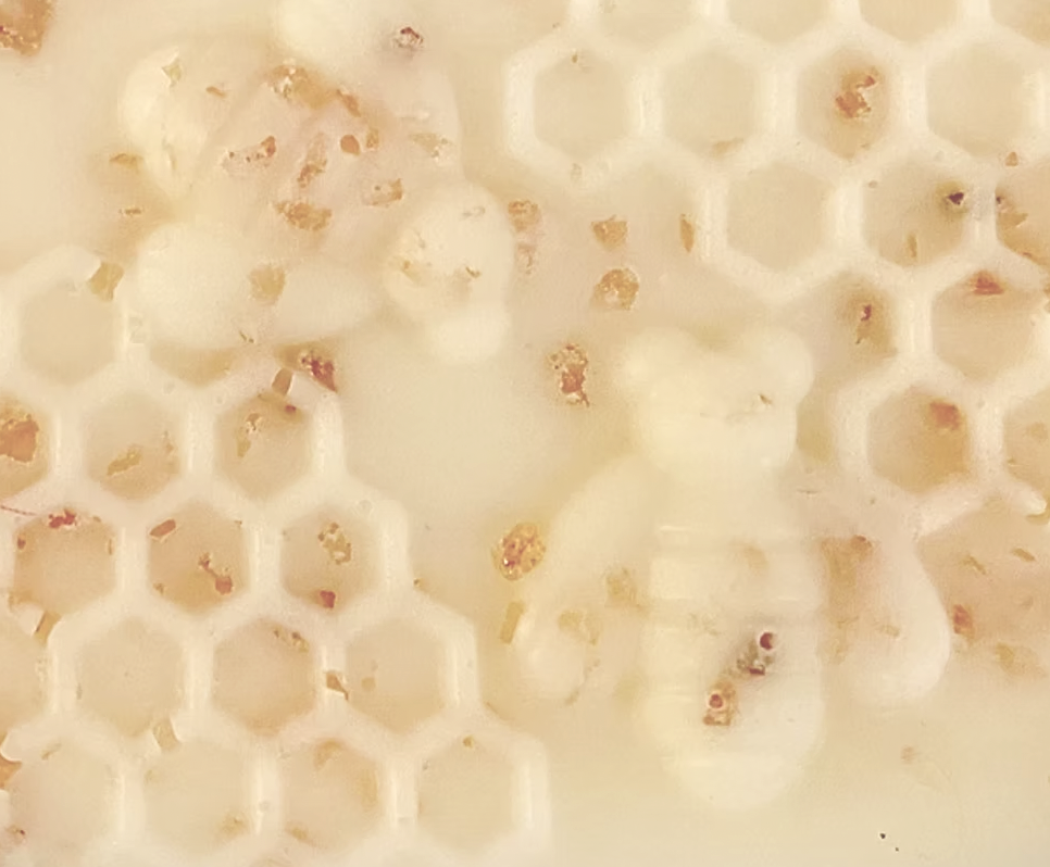 Chicky Moo- Handmade Goods - Wholesale Bar Soap - Goat Milk Soap with Pink Himalayan Salt- Lavender1