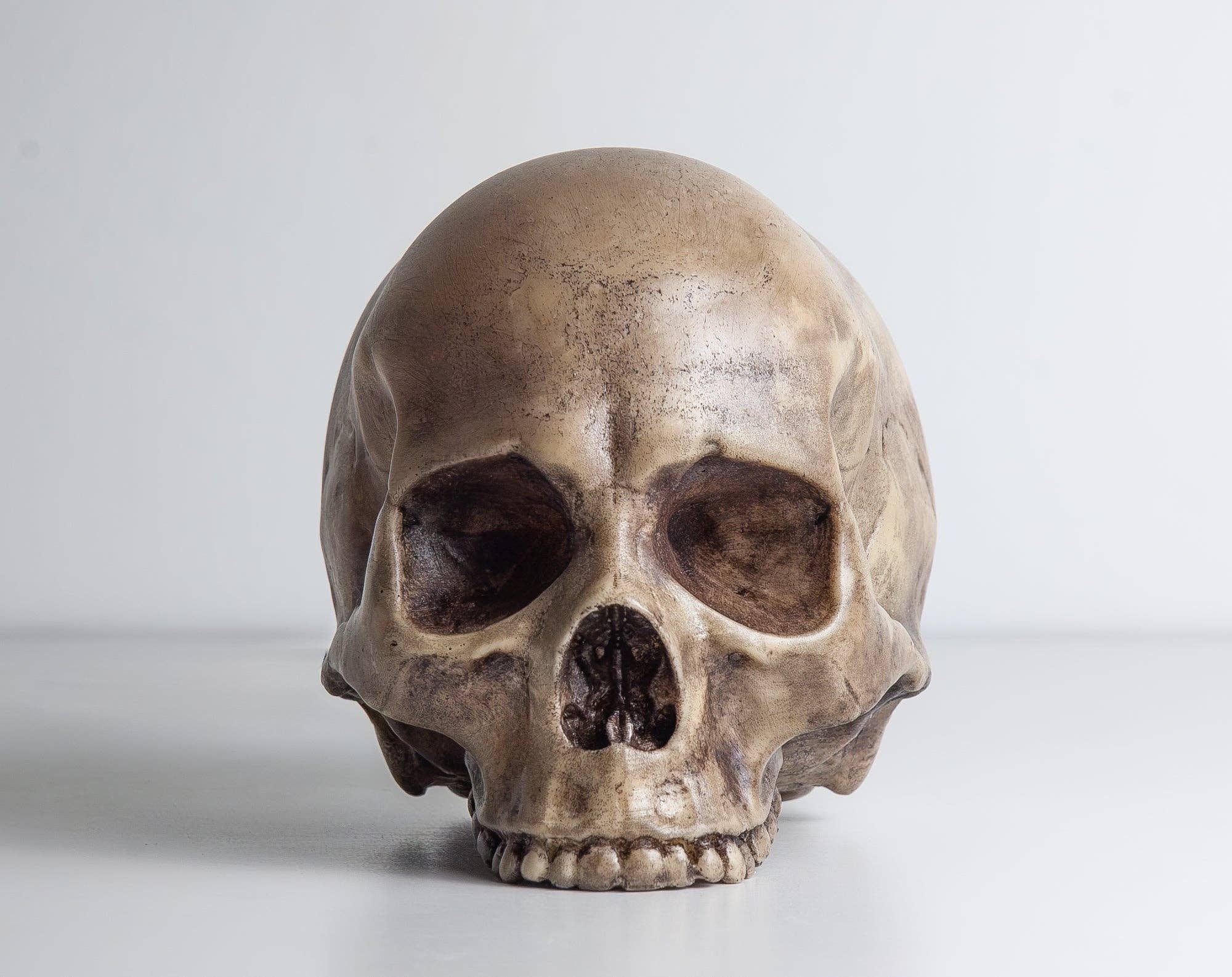 G7T6 – wholesale Accent-/skrivbordslampa – Skull-lampa handgjord med verklighetstrogen skalle3