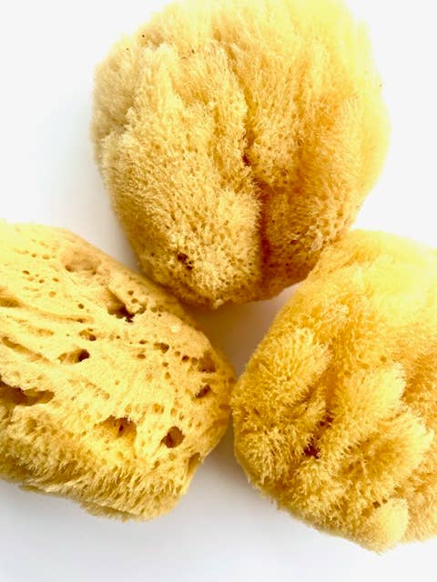 Essential Blooms Body & Skincare - Wholesale Bath Pouf/Sponge - Caribbean Grass Body Sponge0