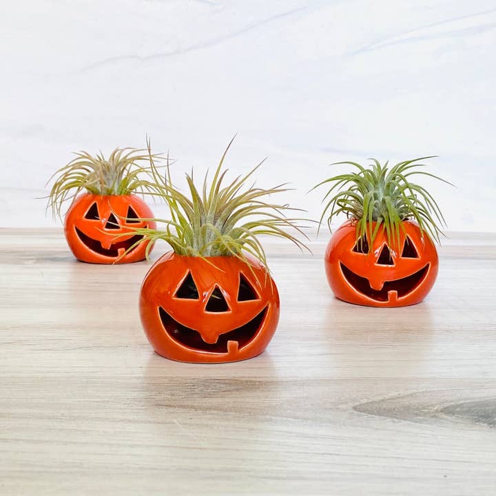 The Simply Crafty Shop - Vente Pot - Support de plante aérienne Jack-O-Lantern en céramique0