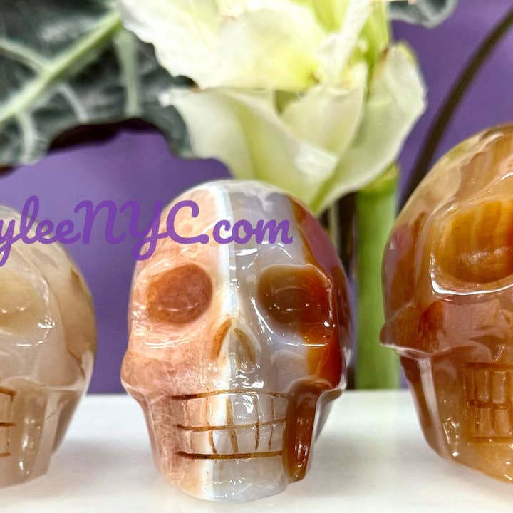 KayleeNYC - Wholesale Spiritual Stone/Crystal - Natural Carnelian Skull Crystal Healing Energy
