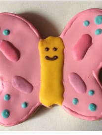 Spring Butterfly Gluten Free Dog Treats - Pre Book for wholesale by Pawsitively Homemade