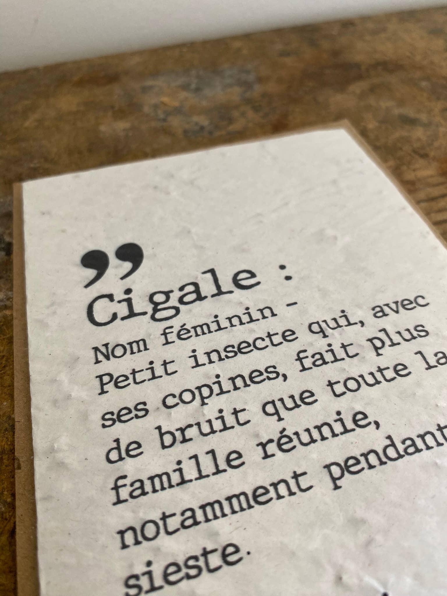 Bibiche Raconte Des Salades - Wholesale Plant Seeds - Plant card - Cigale1