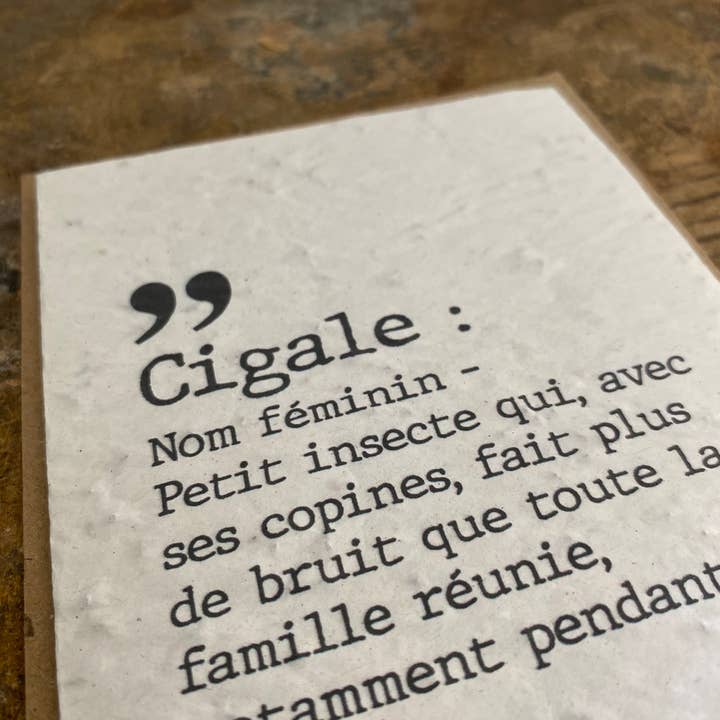 Bibiche Raconte Des Salades - Wholesale Plant Seeds - Plant card - Cigale1