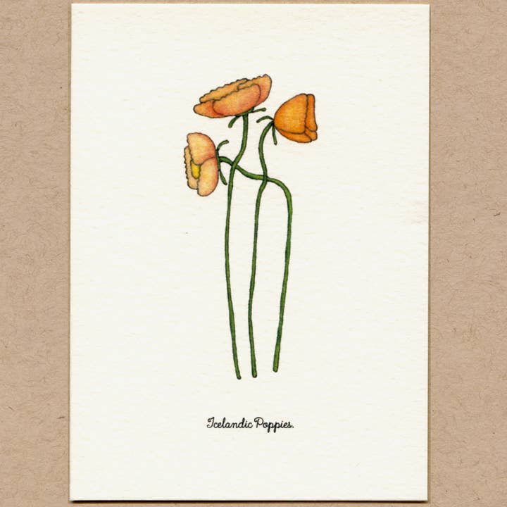 Beth Mueller - Wholesale Everyday Greeting Card - Flowers, Set 7 Boxed Greeting Cards1