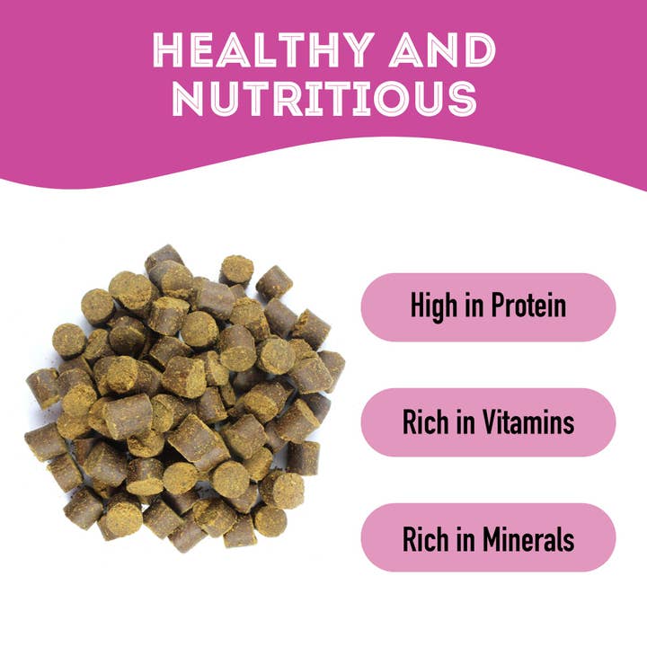 The Granville Island Pet Treatery (USA) - Wholesale Pet Treats - Dog - Lamb & Kelp Soft Dog Treats: Chewy & All-Natural6