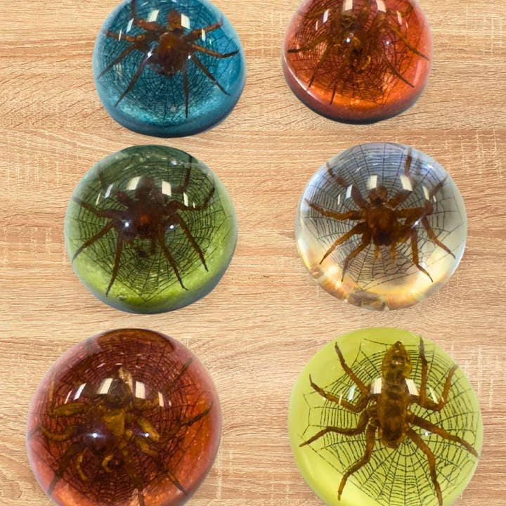 El Paso Saddleblanket - Wholesale Paper Weight - Small Half Dome Spider Paperweight0