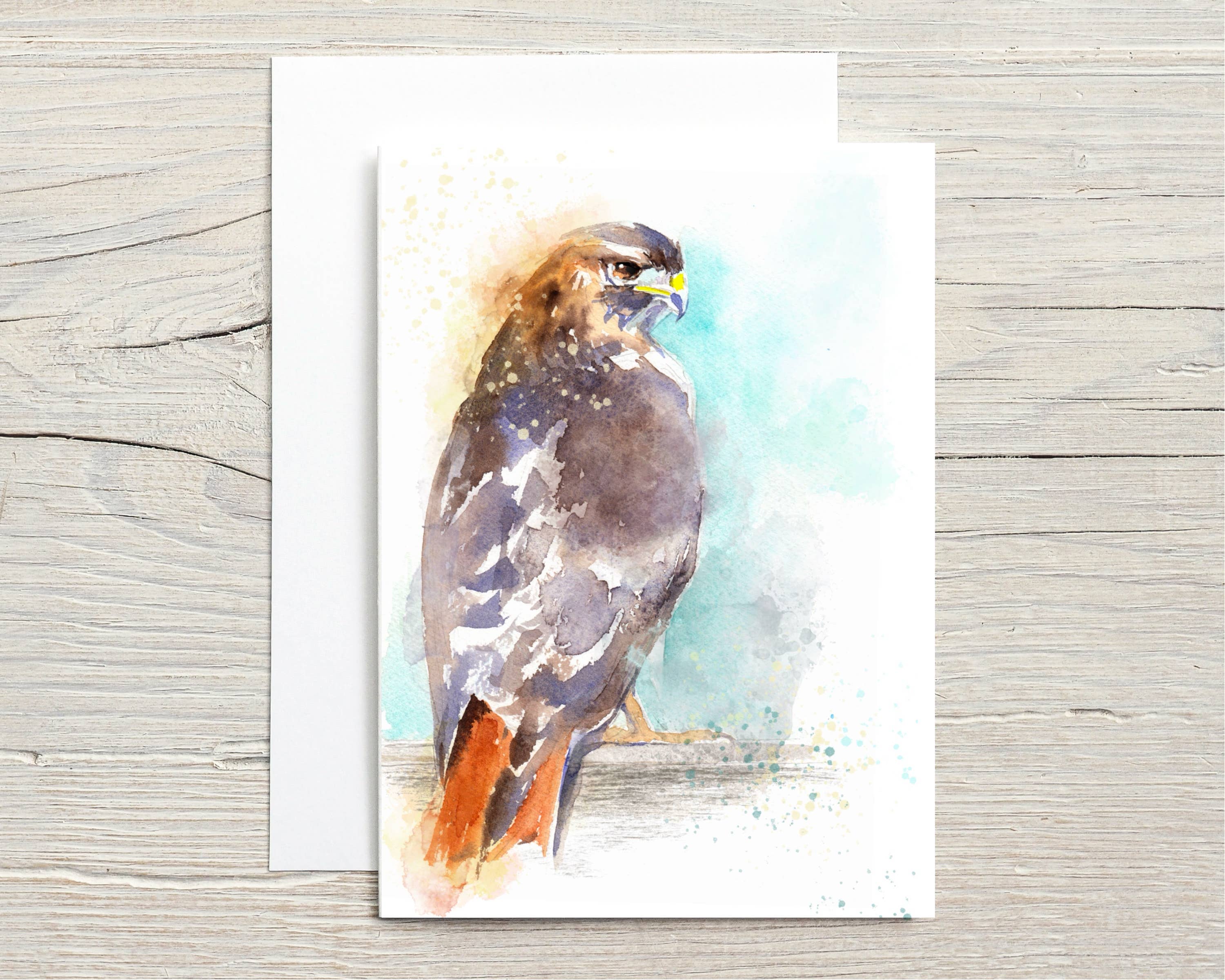 Christy Obalek Illustration – Großhandel Grußkarten für den Alltag – Nordamerikanische Tierwelt: Rotschwanzbussard0