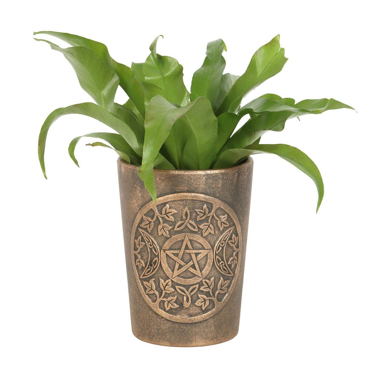 Something Different Wholesale – wholesale Plant pot – Triple Moon Bronze Terracotta Plant Pot by Lisa Parker1