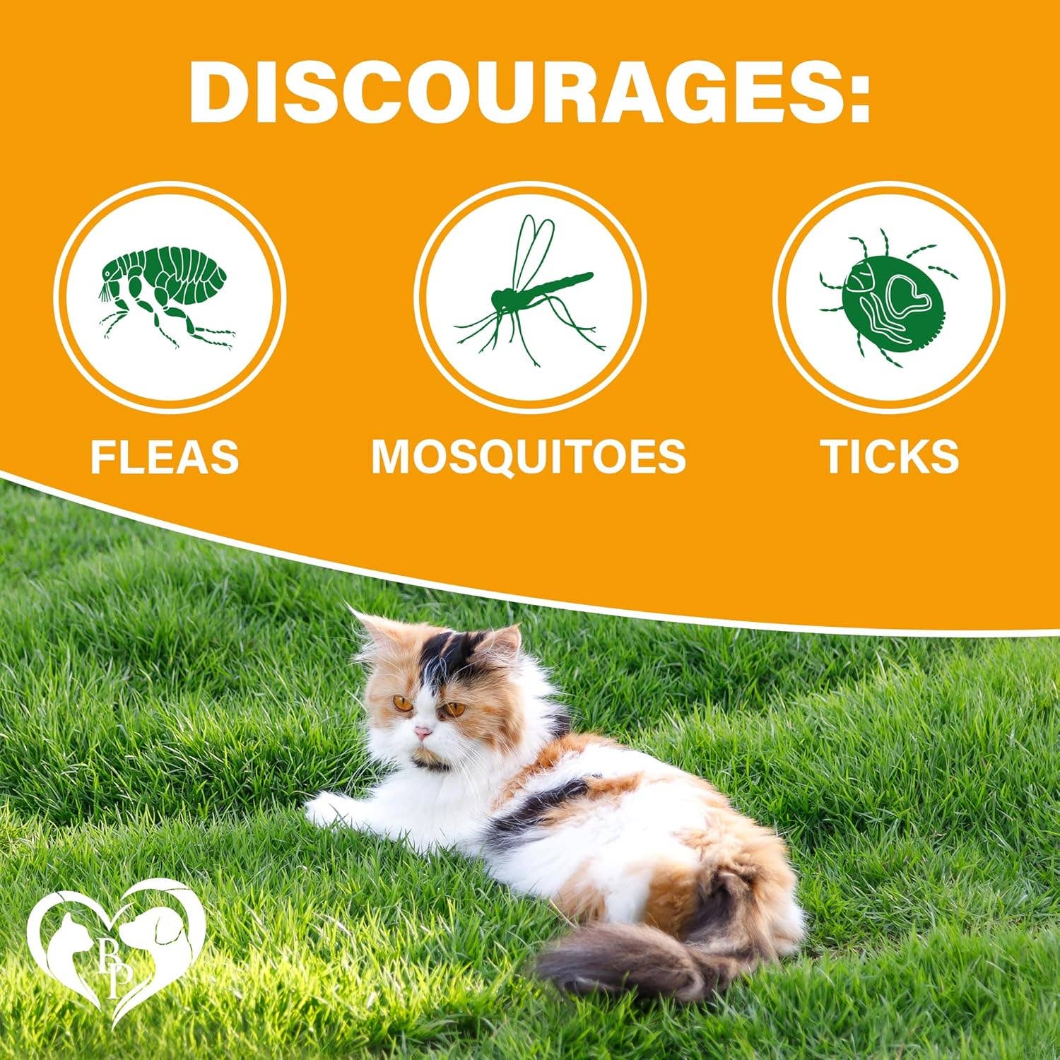 Beloved Pets - Wholesale Pet Treats - Cat - Beloved Pets Flea & Tick Support Chewable Treats with Chicken Flavor for Cats, 10-oz Pack1